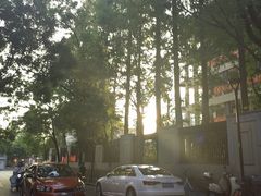 -紫金山山顶公园