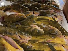 -融泽漁悦三只耳鱼火锅(南郑大道店)