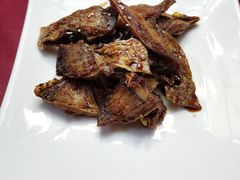 -阿莉餐厅(枣阳路店)