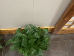 -鸥迪足道(浑南亿丰店)