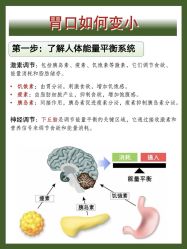 -Fundi张玉珊修身堂·indiba·BTL科技瘦身