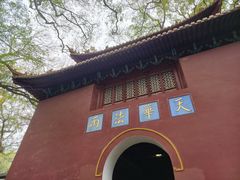 -普陀山风景名胜区-法雨禅寺