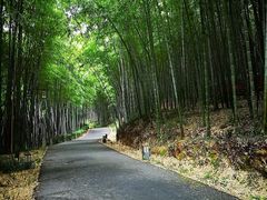 -苏州环秀晓筑养生度假村