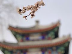 -颐和园