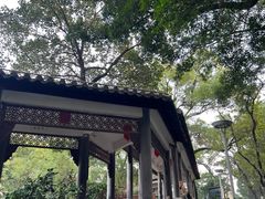 -荔湾湖公园