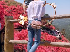 -木兰云雾山