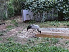 -青藏高原野生动物园