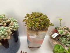 -巴黎春天(浦建店)