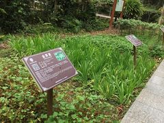 -广西壮族自治区药用植物园
