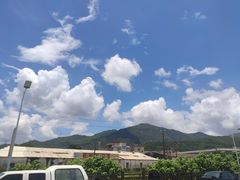 -大赤坎肥仔强烧味海鲜餐厅(大赤坎店)