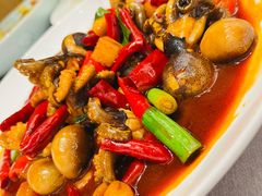 -宁海食府(北岸琴森店)