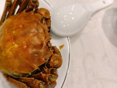 -大东海海鲜酒楼(渔人码头总店)