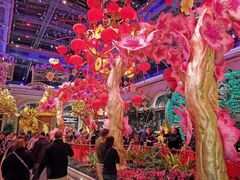 -拉斯维加斯永利酒店