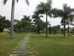 android_upload_pic-白鹭洲公园