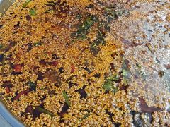 -胖子鱼·油泼甘谷辣子炝活鱼(秦州407店)