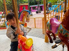 -灵玲国际马戏城