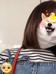 -魔型社