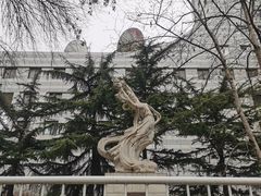 -北京网络广播电视台