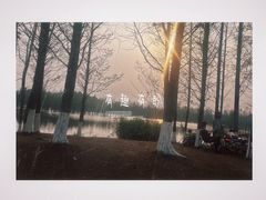 -白鹭湾湿地公园