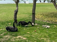 -长田漾湿地公园