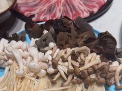 -焱三乐四川火锅店(经纬街店)