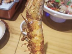 -唐力九头鸟烧烤·罗田吊锅(西云楼店)