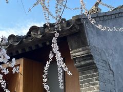 -春风习习