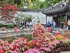 -上海醉白池公园