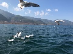 -丽江泸沽湖景区