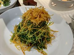 巧拌豆苗-四季民福烤鸭店(王府井灯市口店)
