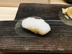 -焘