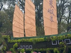 -南山植物园