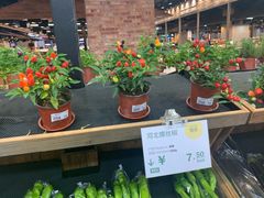 -果蔬好生活超市(乐堤港店)