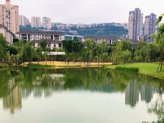 -沐仙湖湿地公园