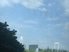 -采蝶轩(和义路店)