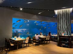 -涛·海底餐厅·美人鱼·自助餐·海底隧道(三亚海棠湾洲际度假酒店)