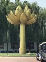 -白洋淀景区