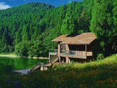 -武陵山森林公园