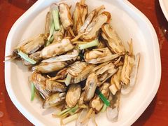 盐水蛏子-宁海饭店