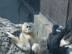 -昆明动物园