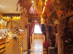-叶叶菩提(旗舰店)