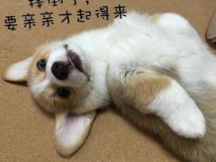 -华豫川酒家(大卫城店)