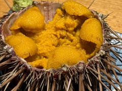 -桂马·日本料理·海胆·海鲜饭·酒场(民主广场店)