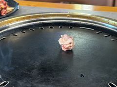 -杨小佳·齐齐哈尔烤肉·烤串(广州店)