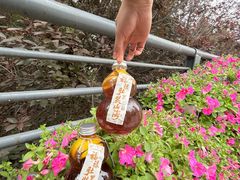 -放哈·甜醅子奶茶创造者(正宁路店)