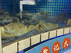 -黄记大闸蟹专卖店·活蟹·醉蟹