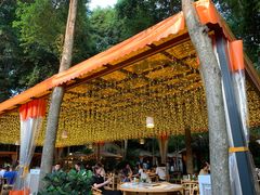 -二荆条·蜀鲜汇城市森林火锅