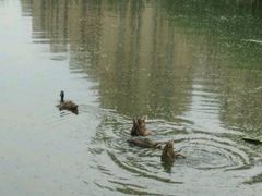 -前关湿地公园