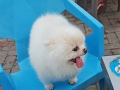 -清真·馬坡二旦烧烤(人生一串拍摄店)