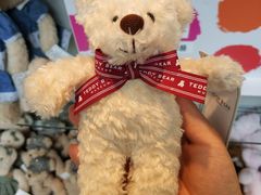 -济州岛泰迪熊博物馆